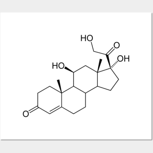 Stress Hormone (Cortisol) Posters and Art